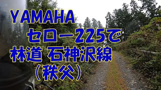 YAMAHA セロー225 で秩父林道石神沢線