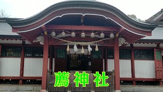 ⚠️あの場所のパワーが凄過ぎる‼️【神社旅】#10