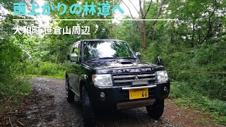 宮城県　笹倉山周辺　林道