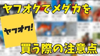 【メダカ】ヤフオクで入札する前に確認すること