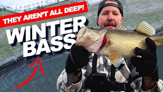 Lake Conroe Winter Bass Fishing: Tactics \u0026 Success