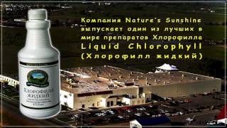 Жидкий Хлорофилл (Liqiud Chlorophyll) - жемчужина NSP.