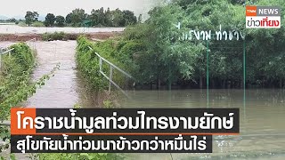 สุโขทัยน้ำท่วมนาข้าวกว่าหมื่นไร่ - โคราชน้ำมูลท่วมไทรงามยักษ์อายุ 200 ปี | TNNข่าวเที่ยง | 18-9-64