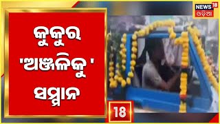 Dog Death News |Gajapati | ପୋଷା କୁକୁରର ମୃତ୍ୟୁ ପରେ ଶୋଭାଯାତ୍ରାରେ ଶେଷକୃତ୍ୟ କଲେ ମାଲିକ  |Odia News