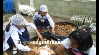 โครงการโรงเรียนพอเพียง ของโรงเรียนสังวาลย์วิท๒