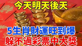 太准了！10月14，15，16號！今天，明天，後天！這5個生肖躲不過彩票中大獎！尤其第二名，一定要買！偏財運旺到爆！【佛語禪音】#生肖 #命理 #運勢 #屬相 #風水