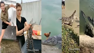 crocodile video collection mxtiktak,moj video