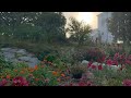 GARDEN TOUR: Oak Hill Cottage Garden in Sweden - September 2020