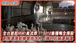 【新聞一點靈】全台首起H5N1禽流感！ 5010隻種鴨全撲殺　廚房遭爆黏蟑螂排泄物　麵包店喊遭報復