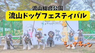 【イベント】流山ドッグフェスティバル