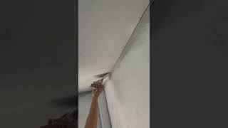 โป้วสกรูริมผนัง #ฉาบฝ้า #หนุ่มอุบล #โอเกรียงดำ #funny #diy #drywall #ทีมงานไม่ได้ยัง