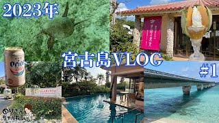 【宮古島VLOG】#1  2023年1月初旬宮古島旅行２泊３日『ジギラベイサイドスイートアラマンダ』に宿泊シュノーケリングでウミカメ遭遇来間島で楽園の果実を食べ沖縄ライブを見ながら沖縄料理を食べました