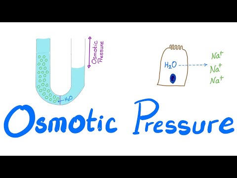 What is osmotic pressure in simple terms?