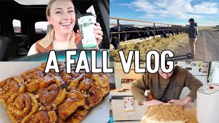 FALL VLOG | a cozy fall vlog baking, shopping & working a little