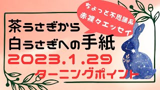 茶うさぎから白うさぎへの手紙 2023「29. ターニングポイント」