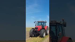 🔥Talerzowanie x Siew Agro Poplonów [TRAILER] Bracia🔥 #masseyferguson #ursus  #oporowo #talerzowanie