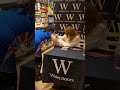 Spice Girls - Ginger Spice - Meeting Geri Horner / Halliwell - Book Signing  26/10/2023 - Sheffield