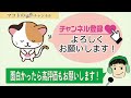 【行った気になる動画 】南丹市園部町を紹介！古寺九品寺 〜マコトの京都路案内 第26回〜