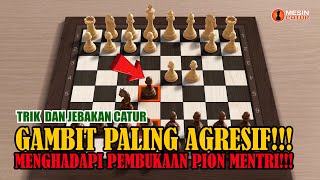 POWERFUL GAMBIT BUAT HITAM!!!