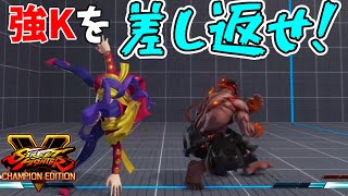 【対戦日記】ローズの立ち強Kを見逃すな！【影ナル者でストリートファイターV】#249