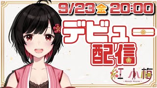 【新人Vtuber】ついに…Vtuberデビュー＆活動１周年！✨※嬉しいお知らせもあるよ！【雑談】