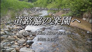 釣り人の楽園は 案外すぐそば にあったりする！  まったり里川 フライフィッシング♪  次回予告も見てね～ (^^♪ 【 フライフィッシング 渓流釣り 開田高原 】