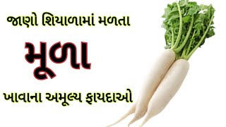 મૂળા ખાવાના અમૂલ્ય ફાયદા- Benefits of Radish- मूली के फायदे- Mula na fayda- Mooli ke fayde