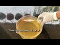 bath soap making വീട്ടിൽ ഉണ്ടാക്കാം ബാത്ത് സോപ്പ്