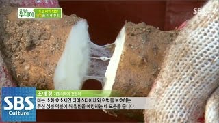 위암을 이겨낸 특별 재료는 무엇? @생방송 투데이 140825