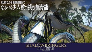 【FF14】🧚妖精さんとなるべく少人数で挑む \