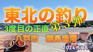 東北の釣り第３弾。八戸市館鼻漁港。3度目の正直。やっと釣れた。