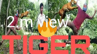 Tollywood Biggest Blockbuster Tiger fight scene Mohanlal,Namitha Tollywood talkies