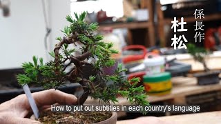 係長作の杜松　How to put subtitles in each country's language