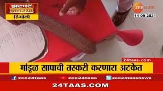 Rare Mandul snake smuggler caught by cops in Hingoli Maharashtra  #Marathi #Shorts