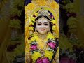 meri vinati yahi hai radha rani🙏🙏🙏