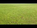 usddn dogfrisbee european championships 2016 i tour