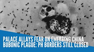 Palace allays fear on emerging China bubonic plague: PH borders still closed