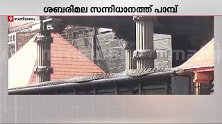 ശബരിമല സന്നിധാനത്ത് 18ാം പടിക്ക് സമീപം പാമ്പ്, വനംവകുപ്പ് പിടികൂടി | Sabarimala | Sannidhanam