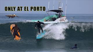 You Never Know What You’ll See at El Porto