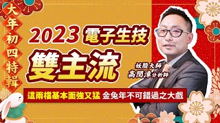 【大年初四特輯】2023電子生技雙主流 這兩檔基本面強又猛金兔年不可錯過之大戲