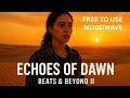 Echoes Reborn 🌅 Afro-Pop Vibes | Free to Use Moodwave Music by Beats & Beyond II