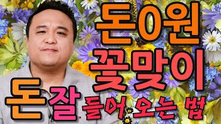 단돈 0원으로 집에서 하는 꽃맞이 돈 잘들어오게 하는 비방법!