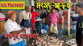 আড়তে মাছের দাম কেমন।।ফতেপুর মৎস্য আড়ত,বাগেরহাট।।বরফ ফ্যাক্টরি দেখুন FOTEPUR BAZAR