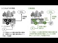 令和6年度九州地域公開講演会 講演6「熱帯林の土に棲む微生物たち：リン不足の真相を追え！」