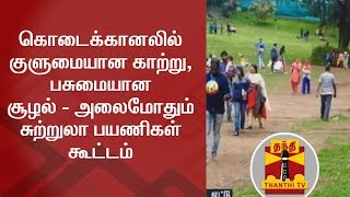 கொடைக்கானலில் குளுமையான காற்று, பசுமையான சூழல் - அலைமோதும் சுற்றுலா பயணிகள் கூட்டம்