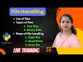 File Handling Basics in Python | Python File Handling | Class 12 | class 11 | Text & Binary Files