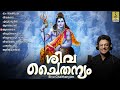 ശിവ ചൈതന്യം siva chaithanyam shiva devotional songs hindu devotional songs devotional shiva