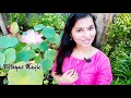 lotus waterlilly potting താമര വളർത്താം ഈസി ആയി gardening tips malayalam