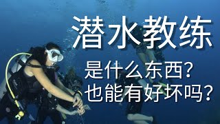 潜水教练是什么东西？有好坏的吗？怎么样才是好？有标准衡量的吗？有点子能找到适合自己的教练吗？