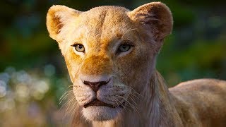 THE LION KING Nala Trailer